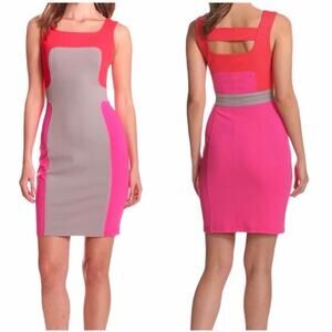 NWT Yoanna Baraschi Murano Sandestin Color Block Sheath Dress Size 00/0